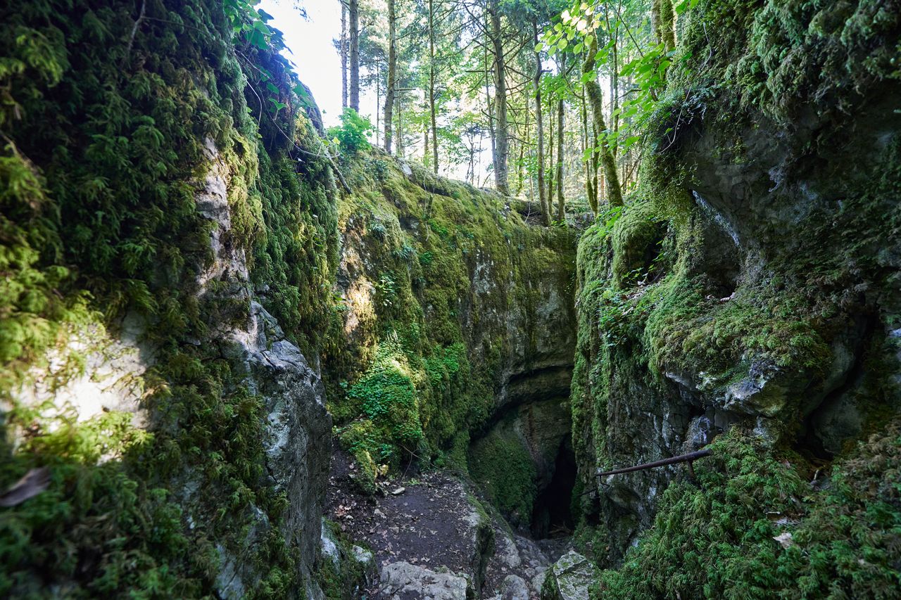 Sentier karstique des Malrochers à Besain, près de Poligny 02